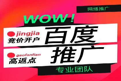 专业SEM代运营托管公司案例分析