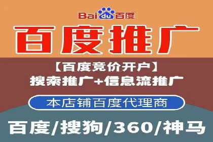 网络推广与竞价优化成功案例